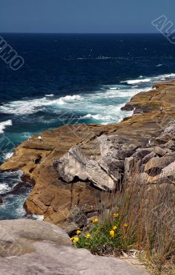 coastline