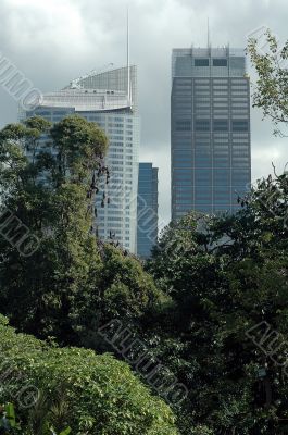 nature and architecture