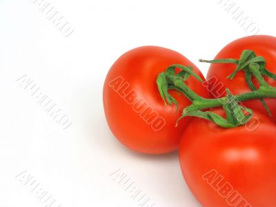 Tomatoes with clipping path