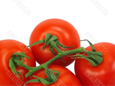Tomatoes with clipping path