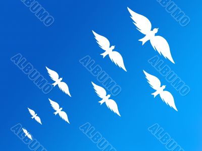 White birds silhouettes and blue sky