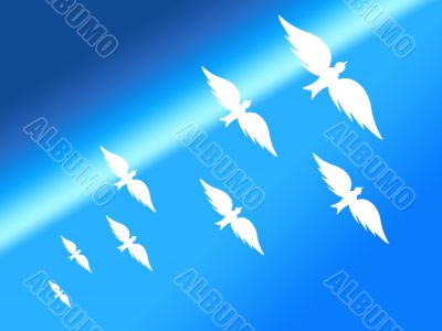  White birds silhouettes and space