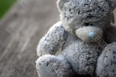 Small grey bear