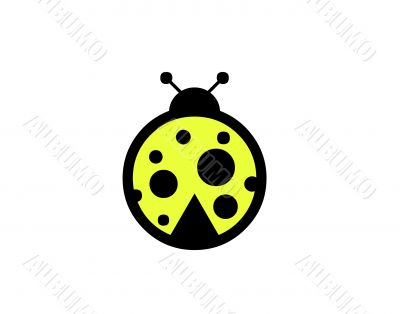  Ladybug illustration