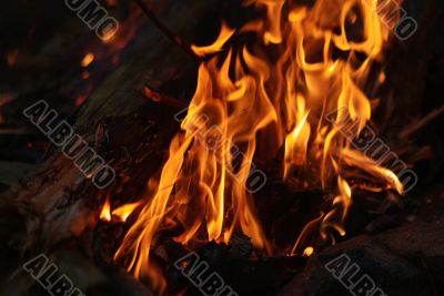 fire