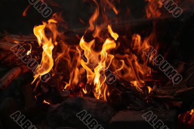 camp fire
