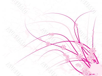 pink floral