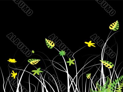 isolated floral bg