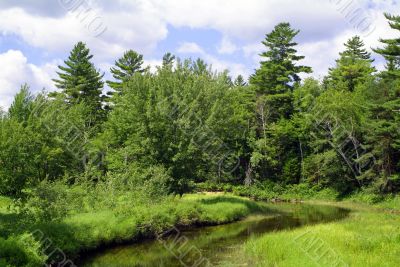 Stoney Creek
