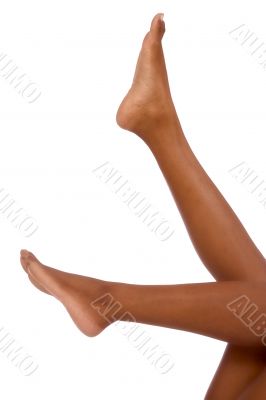 Legs