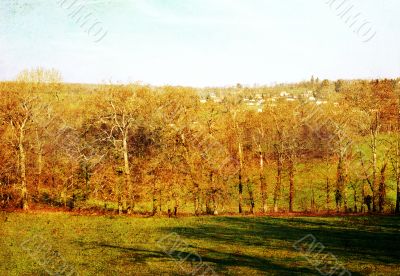 old-fashioned landscape