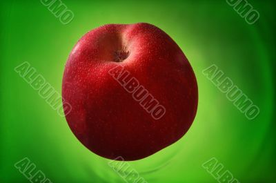 Red apple in the green water