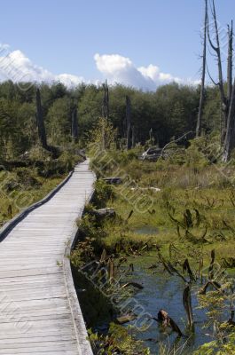 Alert Bay Ecological Park