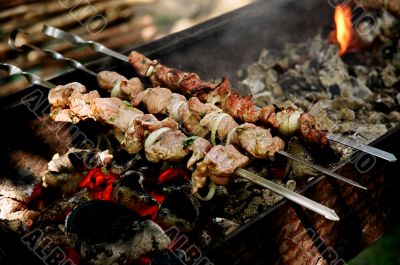 shashlik