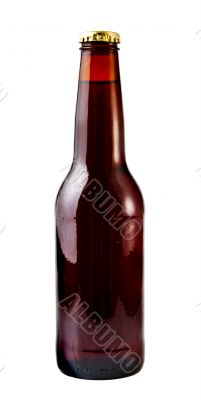 Beer Bottle