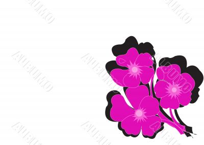 Abstract Flower Pattern