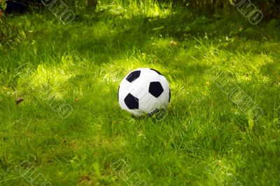 Plush football ball on the grass