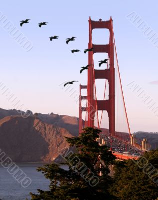 Golden Gate bridge