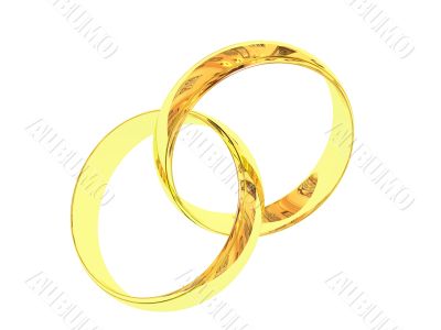 Wedding rings 3D