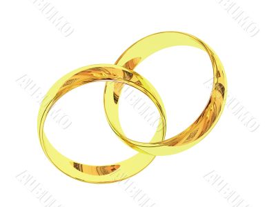 Wedding rings 3D
