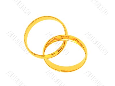 Wedding rings 3D