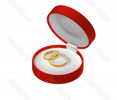 Wedding rings 3D