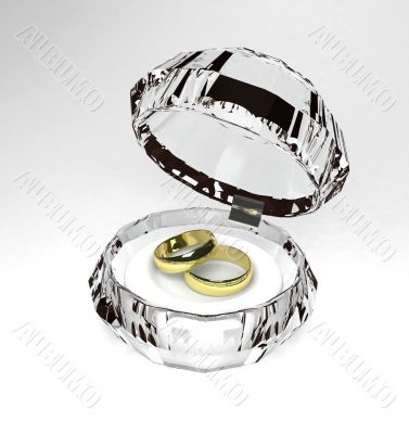 Two wedding ring