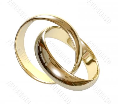 Wedding rings 3D