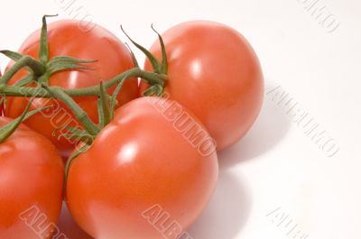 Tomatoes