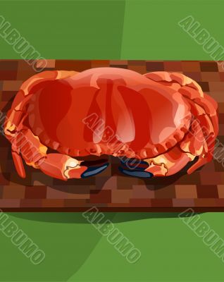 Red crab illustration