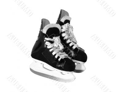 black figure skates