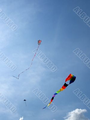Three Kites