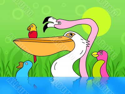 Birds in water