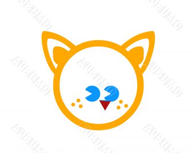 cat orange head