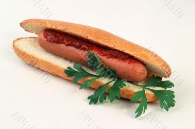 hot dog
