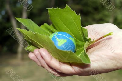 eco friendly