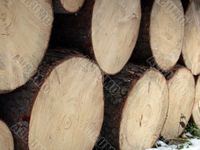 wooden background