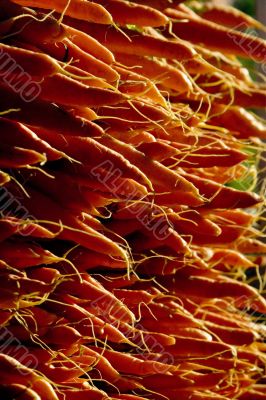 Carrots