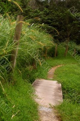 Get on the path