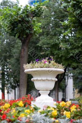 Flower-bed