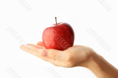 apple, hand, power, red, fresh