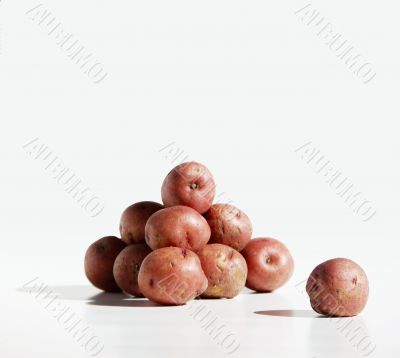 Potato Pile and Lone Spud