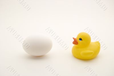 Duckling and egg