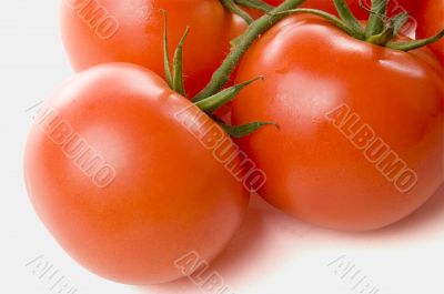 Tomatoes