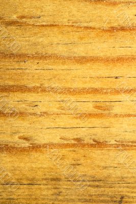 old wood texture - perfect grunge background