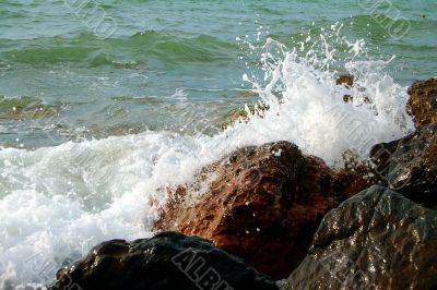 Wet sea stones