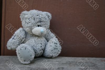 Teddy bear