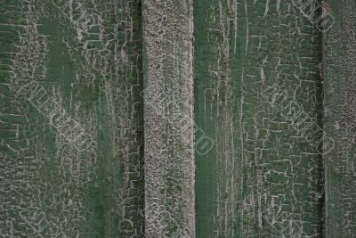 Wood texture