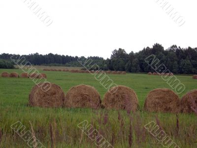 swaths