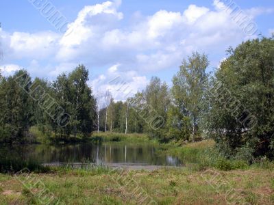 river in forest